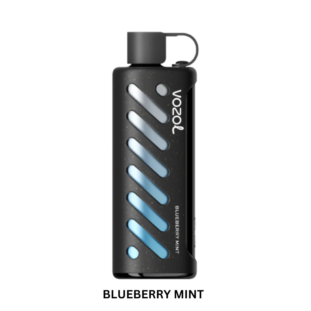Vozol Gear Shisha 25000 PuffS Disposable Vape in UAE