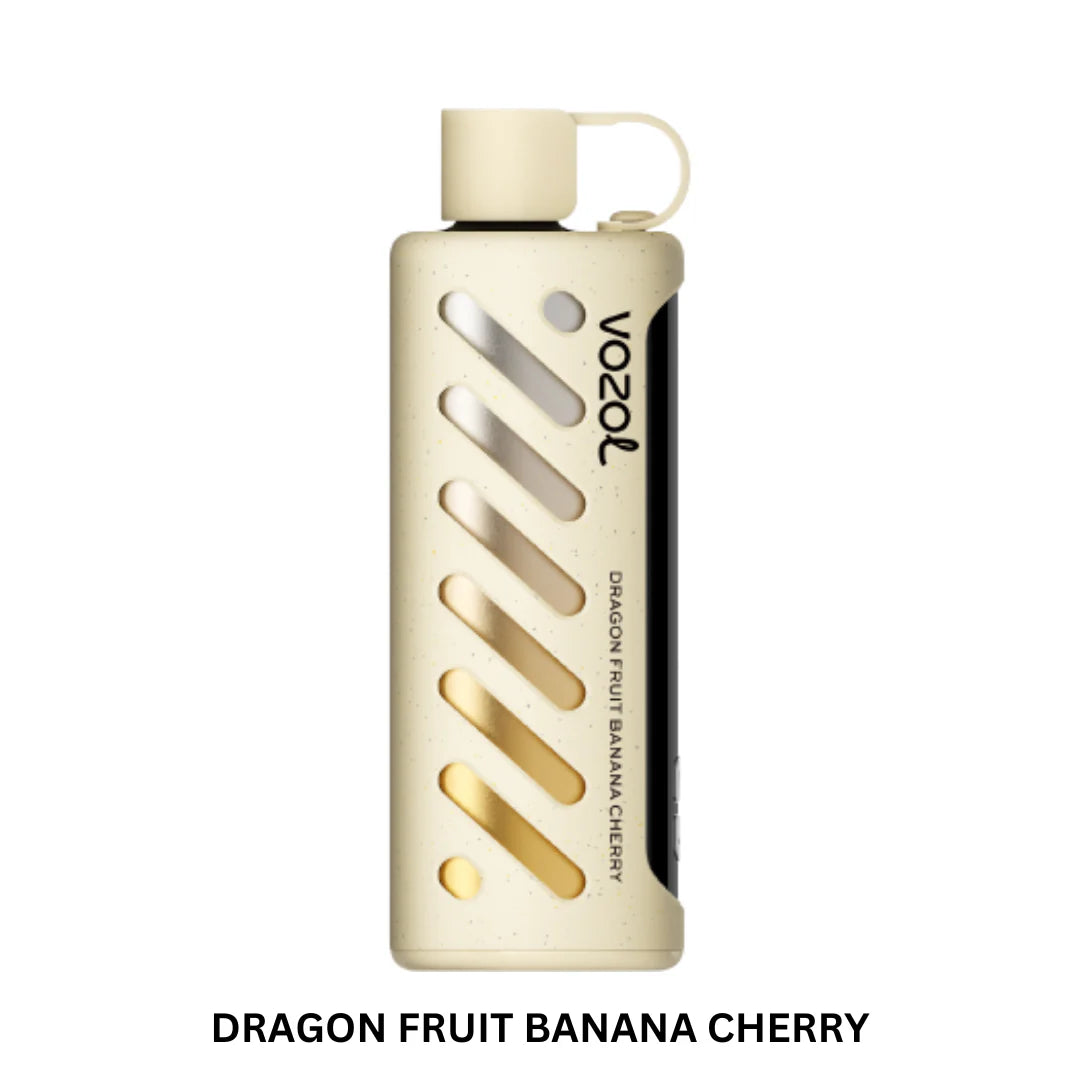 Vozol Gear Shisha 25000 PuffS Disposable Vape in UAE