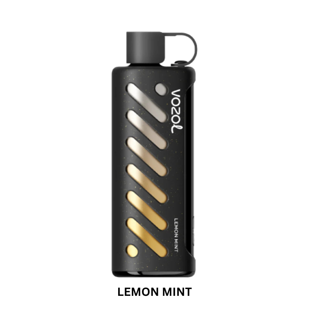Vozol Gear Shisha 25000 PuffS Disposable Vape in UAE
