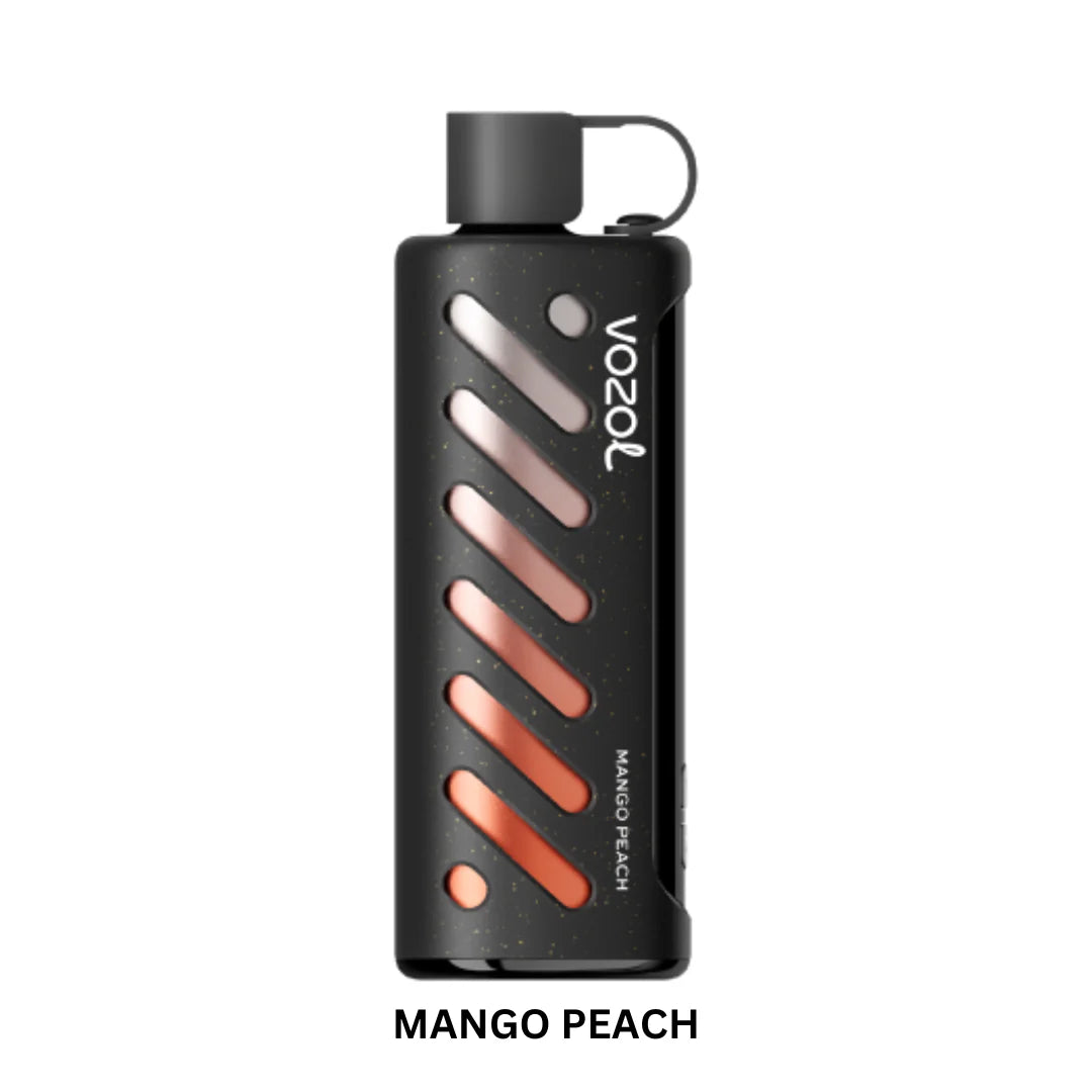Vozol Gear Shisha 25000 PuffS Disposable Vape in UAE