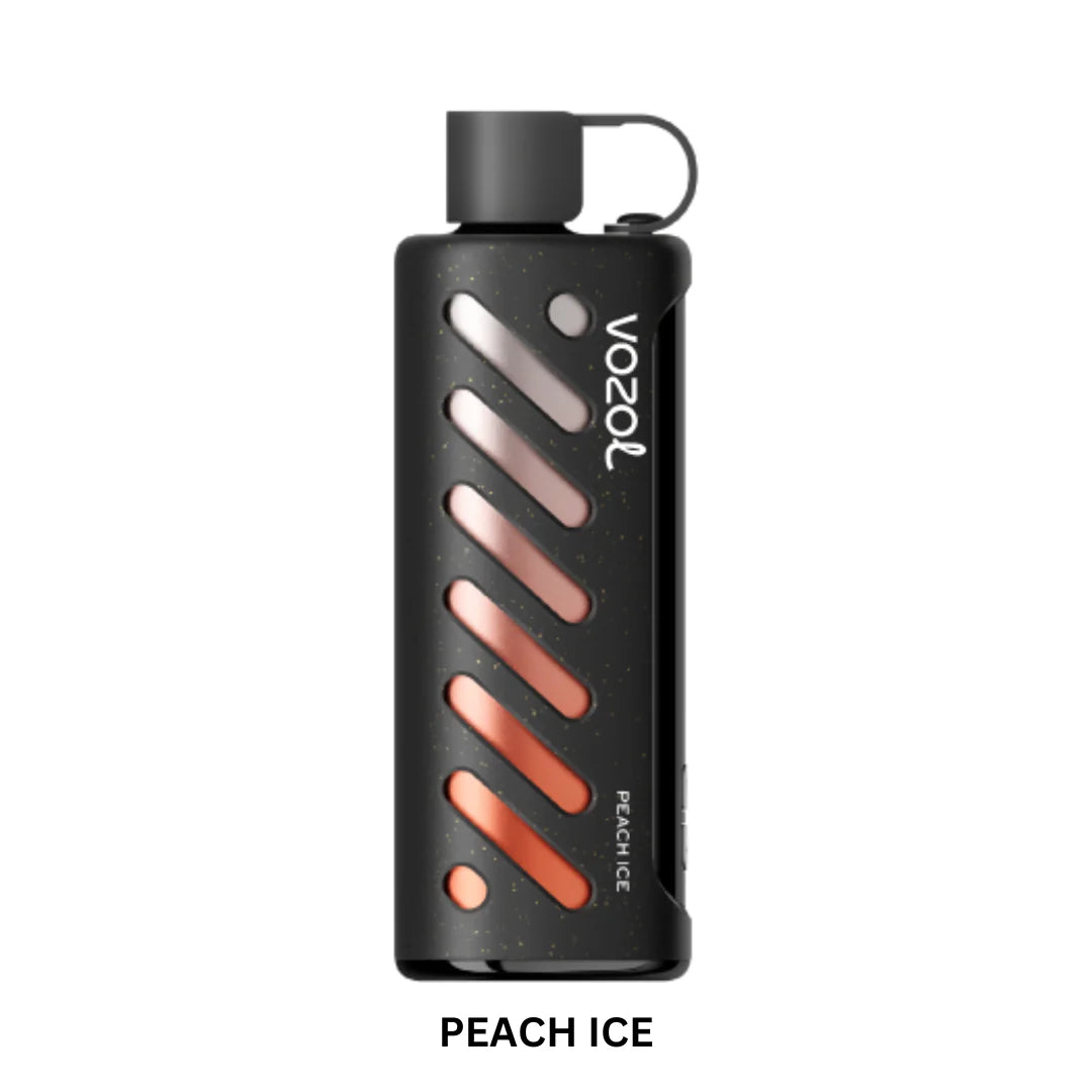 Vozol Gear Shisha 25000 PuffS Disposable Vape in UAE